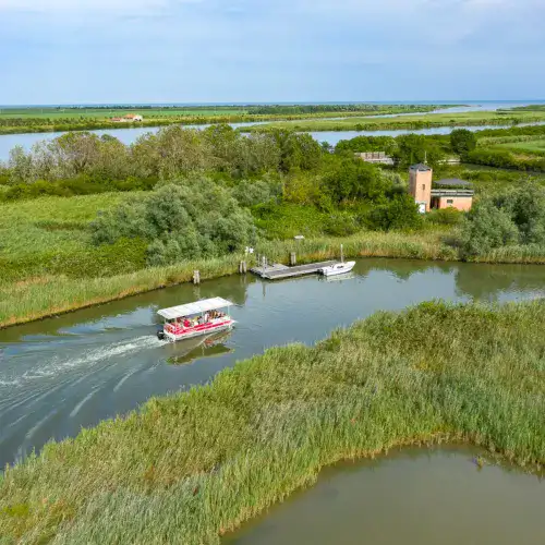 Birdwatching al vecchio faro