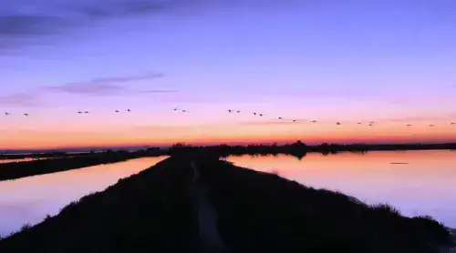 Bike & Boat au coucher de soleil: de la mer aux marais