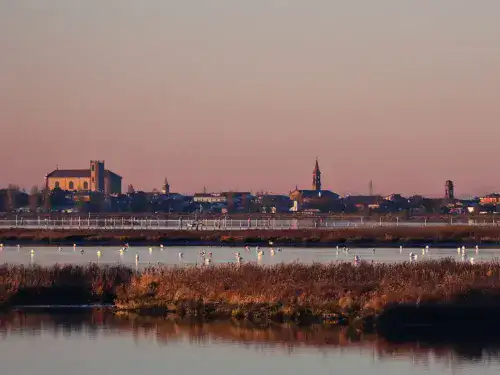 Winter Walk in the Comacchio Lagoons