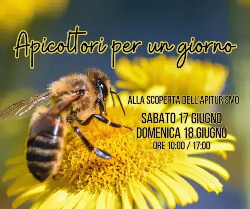 Apicoltori per un giorno