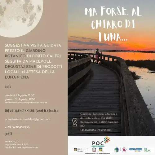 Maybe, in the Moonlight...