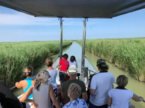 Minikreuzfahrt zwischen Deltastränden und Lagunen mit dem Motorschiff Albatros