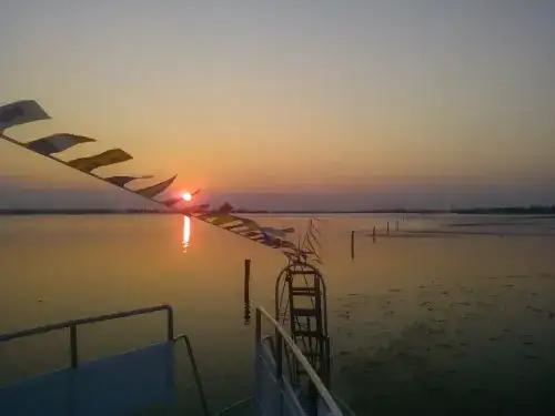 Dinner Cruise in Comacchio's Lagoons at Sunset by Albatros Motorboat