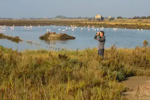 Birdwatching dans la saline de Comacchio
