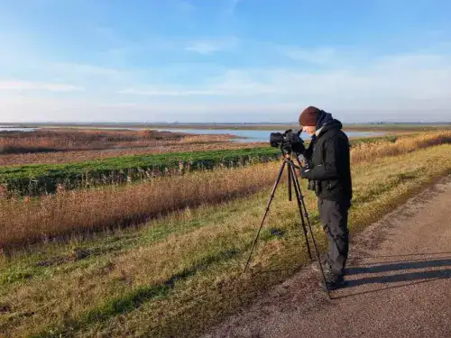 Birdwatching dans le delta du Po